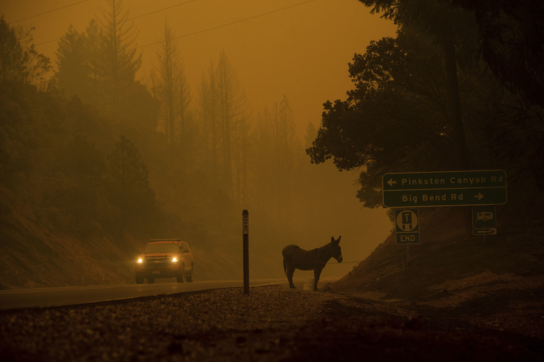 California Wildfires